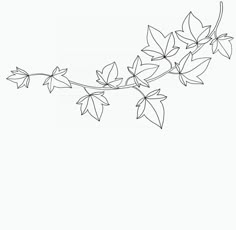 a black and white drawing of leaves on a branch