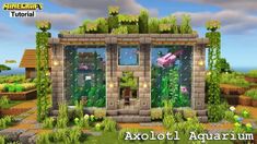 Minecraft Axolotl Build Ideas, Minecraft Outdoor Aquarium, Cool Things To Build In Minecraft Survival, Frog Aquarium Minecraft, Minecraft Zoo Aquarium, Minecraft Building Ideas Axolotl, Minecraft Wall Aquarium, Axolotl Pen In Minecraft, Axolotl Tank Minecraft Ideas