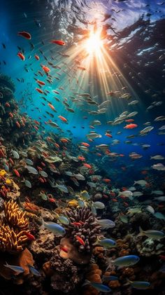 the sun shines brightly above an underwater coral reef with school of fish swimming around it