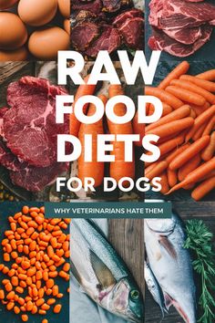 raw food diets for dogs