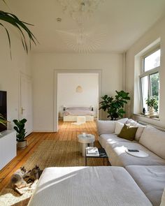 a living room filled with furniture and a cat laying on the floor next to it