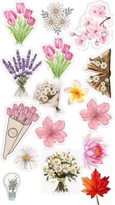 various flowers and leaves stickers on a white background