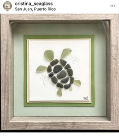 a sea turtle made out of pebbles in a frame