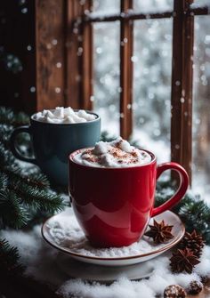 two cups of hot chocolate on a saucer in the snow