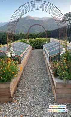 an outdoor garden with lots of plants and flowers in the center, surrounded by mountains