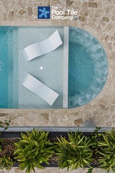 an aerial view of a swimming pool with plants