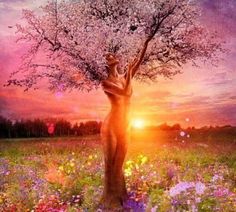 a woman standing under a tree with the sun setting behind her and texting you will always be free to choose 8 you will always be responsible for