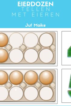 an image of different shapes and sizes of eggs