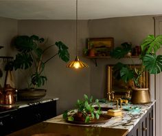 the kitchen counter is covered with potted plants and other decor items, including brassware