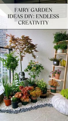 an indoor garden with lots of plants in it and the words fairy garden ideas diy endless