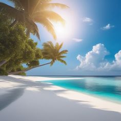 the sun shines brightly through palm trees on an empty tropical beach with white sand and blue water