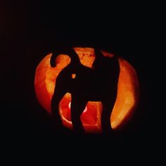 a cat carved into a pumpkin in the dark