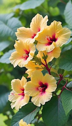 yellow and red flowers with green leaves in the background