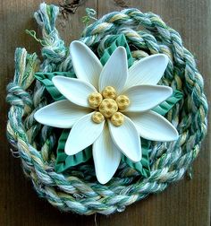 a white flower sitting on top of a green rope