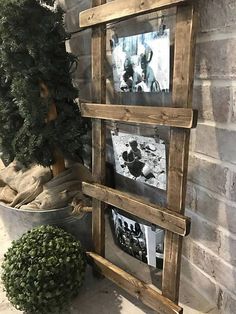 an old wooden frame with pictures hanging on the wall next to a potted plant