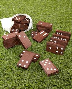 wooden dominos laid out on the grass