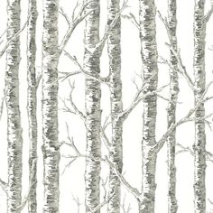 a drawing of trees with no leaves on them