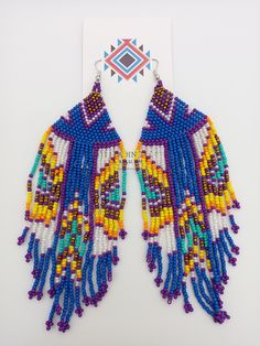 a pair of beaded earrings with fringes and beads hanging from the earring