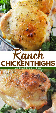 Looking for quick and easy meals for tonight? Try the BEST Ranch Chicken Thighs recipe! Perfect for busy weeknight dinners, this easy chicken thigh recipe is juicy, tender, and packed with flavor. Enjoy a delicious dinner tonight! Chicken Breast And Thigh Recipes, Ranch Baked Chicken Thighs, Chicken Legs And Thighs, Ranch Chicken Thighs, Chicken Thighs In Oven, Ranch Dressing Chicken, Easy Baked Chicken Thighs, Skinless Chicken Thigh Recipes, Best Chicken Thigh Recipe