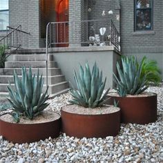 three planters with succulents in front of a house