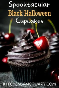 cupcakes with chocolate frosting and cherries on top, sitting next to each other