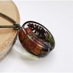 a glass pendant with some plants in it sitting on a piece of wood next to a string