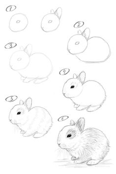 How to draw a bunny. Step-by-step drawing tutorial. Animal Drawing Tutorial Step By Step, Draw A Bunny, Kids Drawing Ideas, Bunny Sketches, Pencil Drawings For Beginners, Bunny Watercolor, Bunny Painting, Bunny Drawing, Cool Pencil Drawings