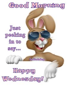 a rabbit wearing sunglasses holding a sign with the words good morning just pecking in to say