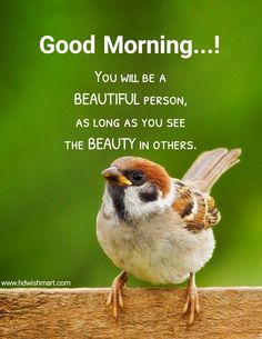 a small bird sitting on top of a wooden table next to a quote that says good morning