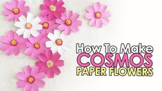 pink and white paper flowers with the words how to make cosmos