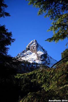 a snow covered mountain is seen through the trees