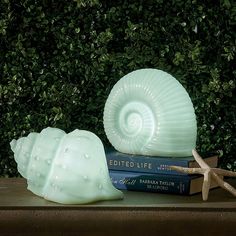 a sea shell, starfish and books on a table in front of some bushes