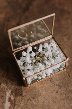 two wedding rings sitting in a box filled with white flowers on the floor next to each other