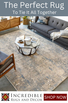 a living room with two couches and a coffee table in the middle of it