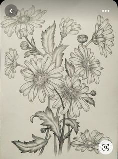 a drawing of some flowers on a white paper