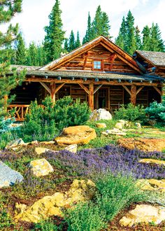 a log cabin sits in the middle of a field full of flowers and rocks, surrounded by pine trees