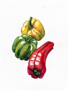 watercolor painting of vegetables on white paper