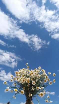 a large vase filled with lots of white and yellow flowers under a blue cloudy sky