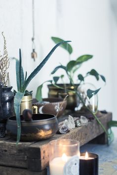 some candles are sitting on a table next to plants and other things that are in front of them