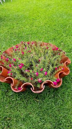 a potted plant in the grass with pink flowers on it's bottom half