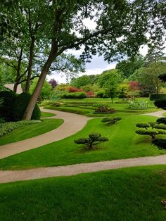 a path through a lush green park filled with lots of trees