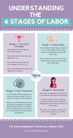 the four stages of labor info sheet with instructions on how to use it and what to do