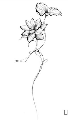 a black and white drawing of flowers on a white background