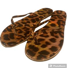 Bebe Cheetah Print Thong Flat Sandals Slides New And Never Worn, Super Cute And Simple Cheetah Print Thong Slides. S4 Black Tan, Cheetah Print, Black And Tan, Flat Sandals, Women's Shoes Sandals, New Color, Shoes Sandals, Slides, Super Cute