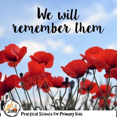 red poppies with the words we will remember them in black lettering on a blue sky background