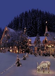 a house with christmas lights and decorations on it