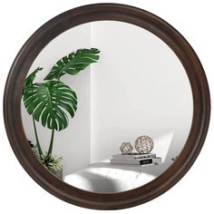 a mirror that has a plant in the middle of it and some books on top