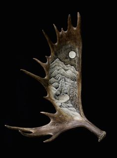 an animal's antler with the moon in the background