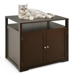 a cat laying on top of a wooden cabinet