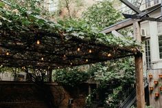 an outdoor patio with lots of greenery and lights hanging from the pergolated roof